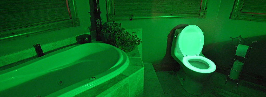 Divine Light Up Toilet Seat