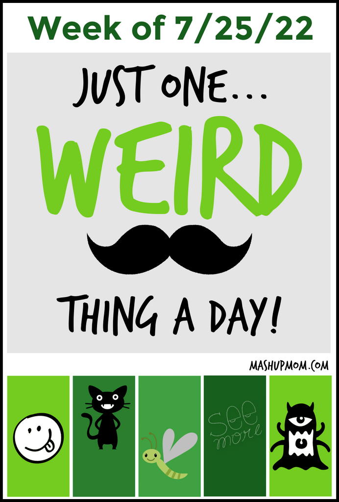 Shrek for your Crocs: Weird Amazon products week of 7/25/22