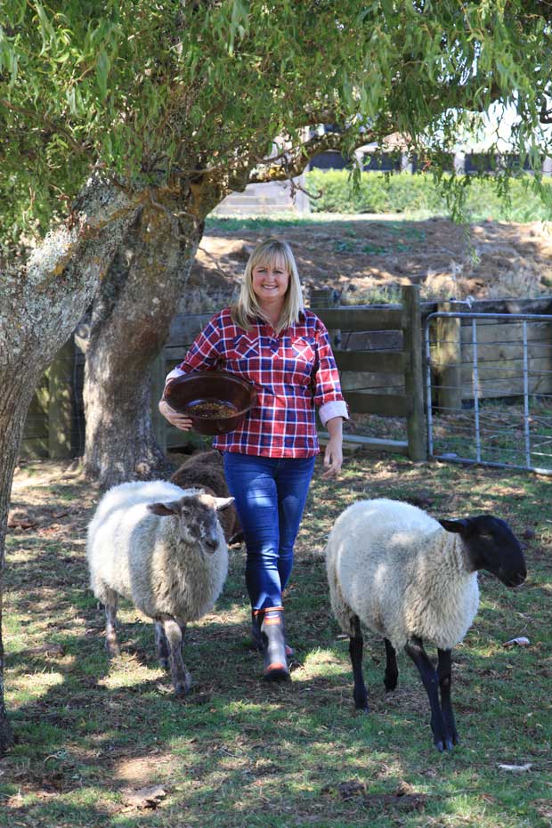 Guest Blog: Lynda Hallinan’s shear hard slog