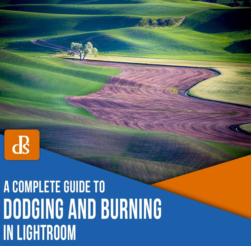 The post Dodging and Burning in Lightroom: A Comprehensive Guide appeared first on Digital Photography School