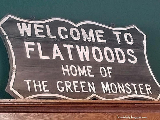 I Pulled Over For This:  Flatwoods Monster Museum, Sutton, WV
