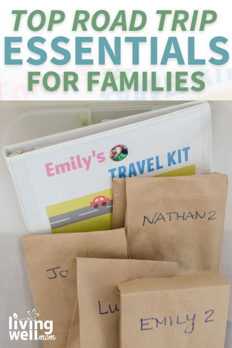 15 Road Trip Essentials Every Family Needs