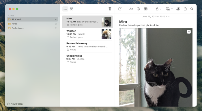 The 5 best note-taking apps for Mac in 2021