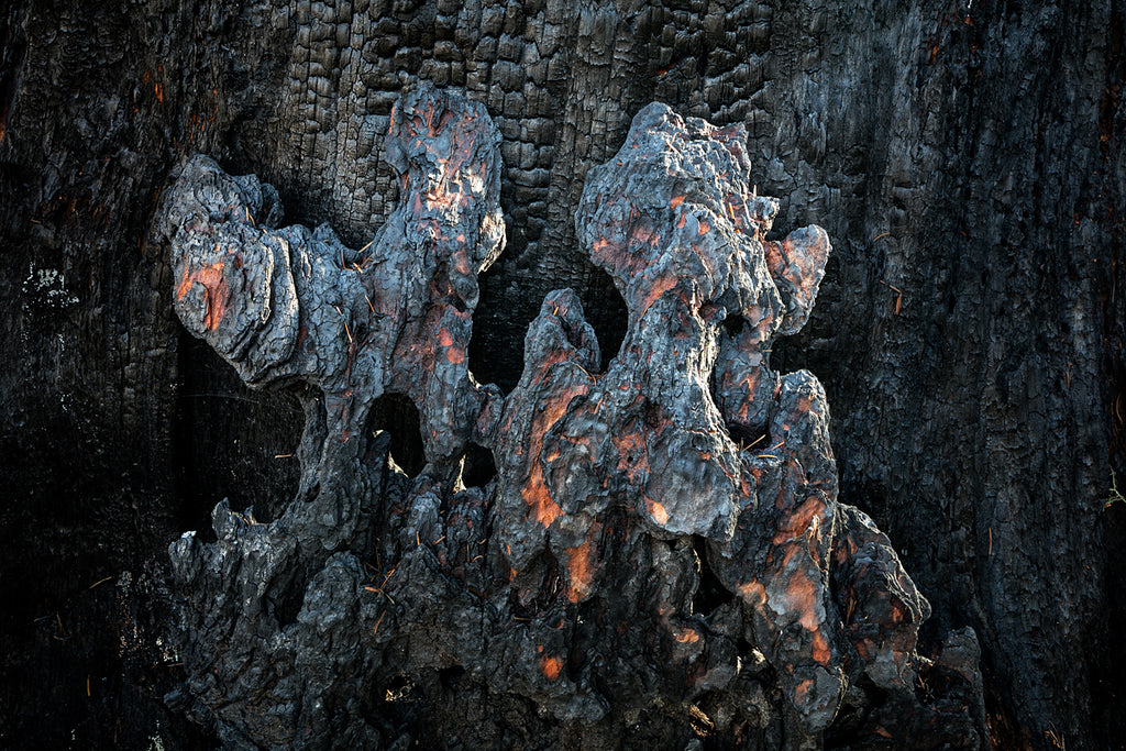 2021: A Year of Looking at Things