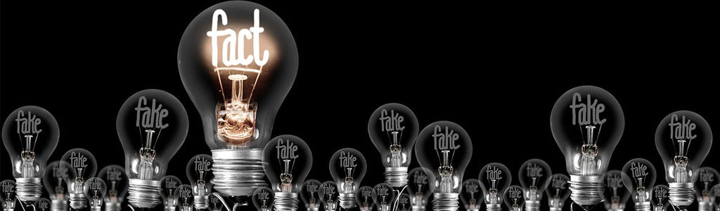 Don’t Give Up on Facts