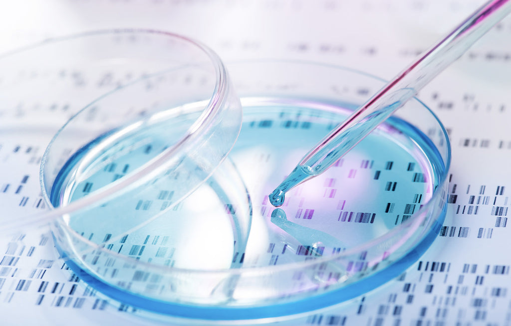 Researchers are trying to build biocomputers out of ‘minibrains’ grown in a lab